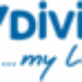 JOYDIVISION brand logo