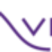 WE-VIBE brand logo